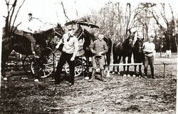 /images/scan0016_250x161.jpg