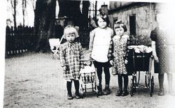 /images/scan0018_250x155.jpg