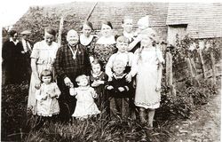 /images/scan0030_250x160.jpg